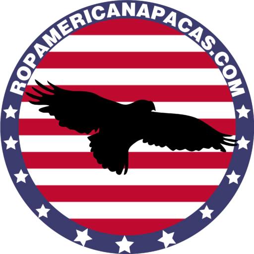 Pacas de ropa americana